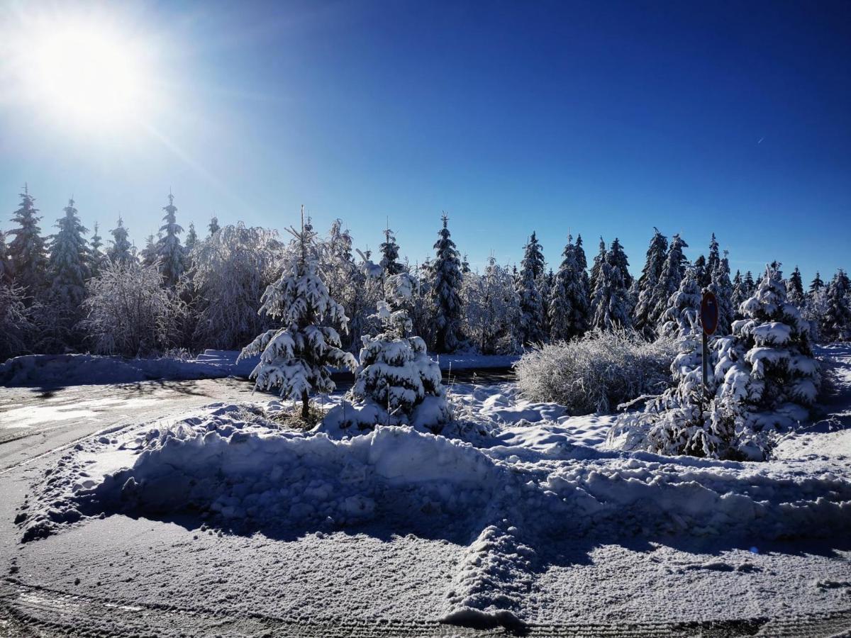 Готель Haus Hubertus Бад-Петерсталь-Ґрісбах Екстер'єр фото